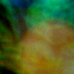 Bokeh-322